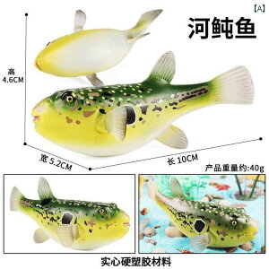  A ͋[ Cm   tO   C  T