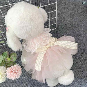  hX XJ[g s[X hbOEFA 킢  ybg  L ^ sN