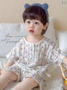 xr[ ZbgAbv   q j̎q ̎q pW}  Rbg l K[[ z[ X[c _炩