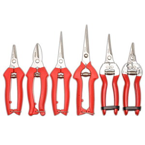 ΂ K[fjO |  nT~ }؂ t[AWg ʕ n  ƒp ԉ