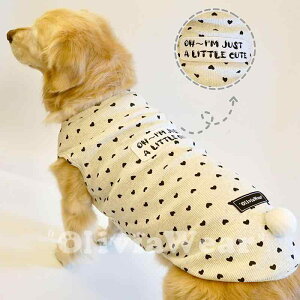 pĕ ^ K ʋC ybgAp ybgEFA 킢 oj[ e[ S[fgo[ xXg O[