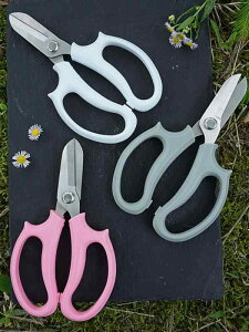 ΂ K[fjO |  nT~ }؂ t[AWg ԉ ƒp c[ u[ sN p[v