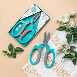 ΂ K[fjO |  nT~ }؂ t[AWg c[ ʕ n ~ H