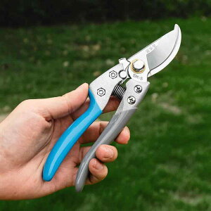 ΂ K[fjO |  nT~ }؂ t[AWg ƒp ʕ n H bh S[h