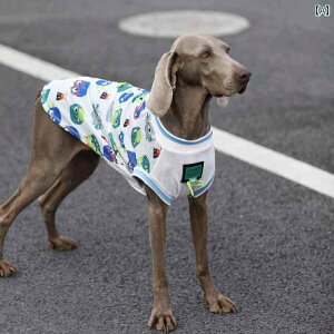 pĕ ^ K ʋC ybgAp ybgEFA  bV S[fgo[ uh[ TGh  zCg