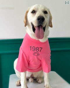 pĕ ^ K ʋC ybgAp ybgEFA    ʋC Rbg TVc uh[ S[fgo[ sN O[ ubN