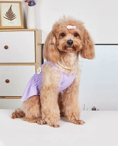  hX XJ[g s[X hbOEFA 킢  ybg  H ^ p[v sN