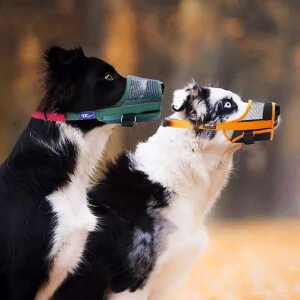   ʖi ݂ EH h~ }Y  ybgpi }XN ^ ^ ^ O[ IW