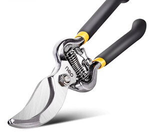 ΂ K[fjO |  nT~ }؂ t[AWg ƒp ԉ ʕ n