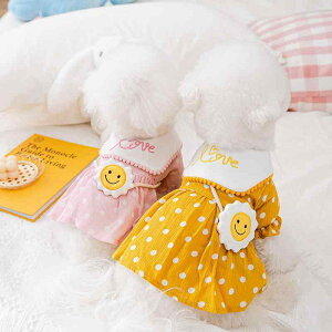  hX s[X hbOEFA 킢  ybg t ʋC Ђ܂ XJ[g CG[ sN