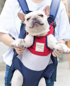 ybgL[ O  L R obO |[^u e Oo AEghA ʋC `FXg O[ bh u[