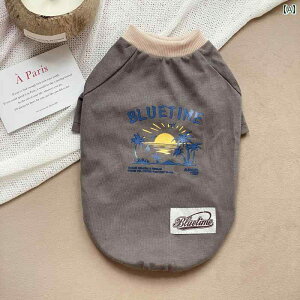 pĕ ^ K ʋC ybgAp ybgEFA t TVc efB Č R[M[ L  O[ Cbh