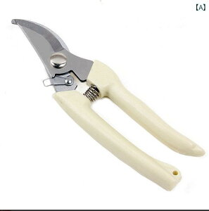 ΂ K[fjO |  nT~ }؂ t[AWg  ʎ H zCg bh