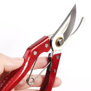 ΂ K[fjO |  nT~ }؂ t[AWg ʎ XeX ƒp S[h bh