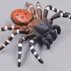  tBMA  ͌^ q RNV vX`bN   J}L JugV N gJQ Mtg A