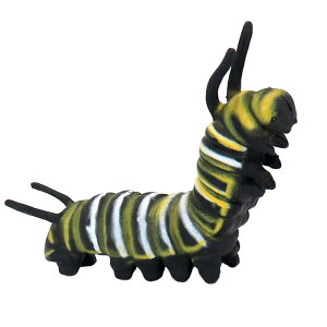  tBMA  ͌^ q RNV   j̎q ̎q  ĂƂ J Mtg A