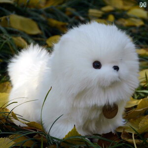 A  ʂ j̎q ̎q Y fB[X I[ || |jA Mtg zCg