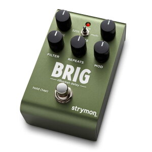 Strymon/BRIG dBucket Delay �f�B���C �I�[�K�j�b�N�G�R�[ �X�g���C����