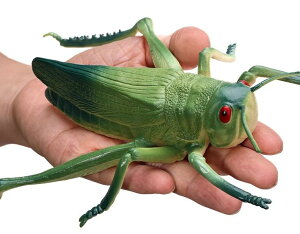  tBMA  ͌^ q RNV  Ȋw  Mtg ob^ tRKV T\ A