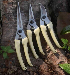 ΂ K[fjO |  nT~ }؂ t[AWg XeX ʕ n ƒp ԉ zCg