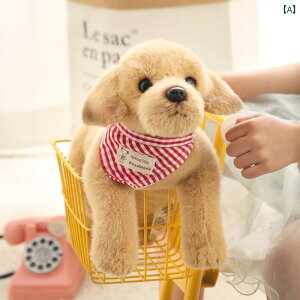 A  ʂ j̎q ̎q Y fB[X V~[V S[fgo[ l` K 킢 Mtg