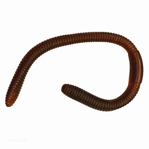  tBMA  ͌^ q RNV j̎q ̎q \tg vX`bN ~~Y   A