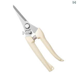 ΂ K[fjO |  nT~ }؂ t[AWg ƒp ԉ ʕ n H