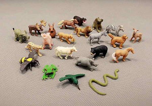  tBMA  ͌^ q RNV ~j \tg  CI  TC n N}