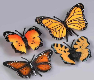  tBMA  ͌^ q RNV vX`bN  Ȋw  j̎q ̎q  A