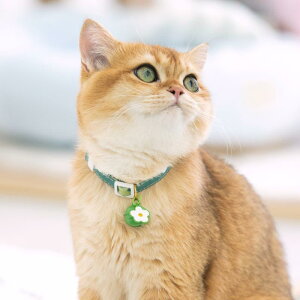 L    Z[teB obN ybgp lbNX ANZT[  킢 x