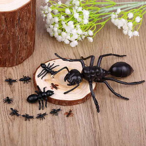  tBMA  ͌^ q RNV vX`bN ~j   j̎q ̎q A a A