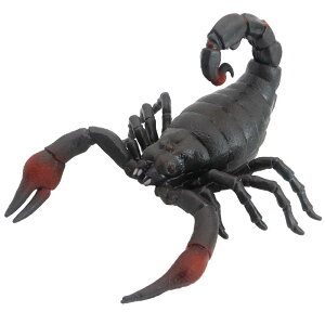  tBMA  ͌^ q RNV \tg VR  Mtg T\ N }EX Jf