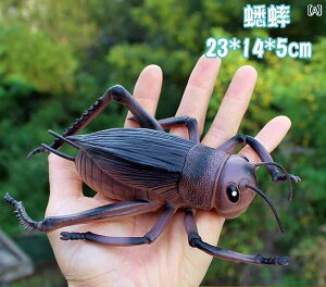  tBMA  ͌^ q RNV ^ vX`bN   N RIM I ĂƂ A a A