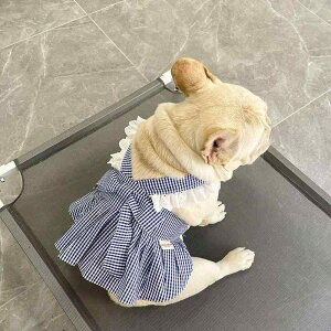  hX XJ[g s[X hbOEFA 킢  ybg `FbN u[ sN