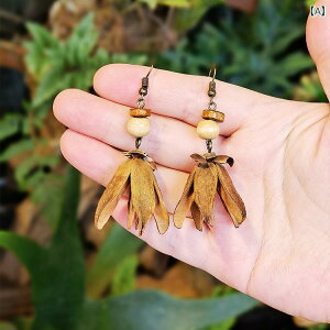 sAX GXjbN fB[X ANZT[ AJ g tHXg nI ؐ ^bZ uE