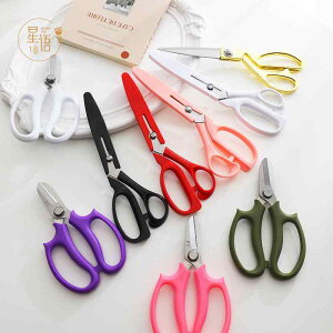 ΂ K[fjO |  nT~ }؂ t[AWg ԉ ƒp  zCg O[ sN