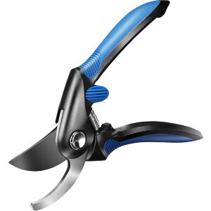 ΂ K[fjO |  nT~ }؂ t[AWg ƒp ԉ ʕ n 