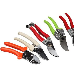 ΂ K[fjO |  nT~ }؂ t[AWg ʕ n ƒp ԉ H