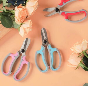 ΂ K[fjO |  nT~ }؂ t[AWg ƒp ԉp o u[ bh sN