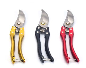 ΂ K[fjO |  nT~ }؂ t[AWg  ʎ ~ H  ubN bh S[h