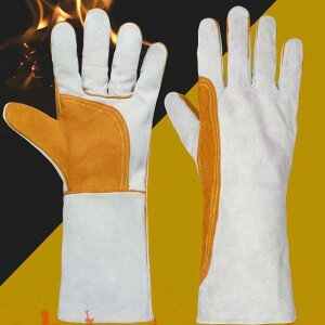 nڎ nڗpO[u v {v Ɨp O  ϔM h ՔM h ϖՐ R  ⋭ Sی dH nڍ