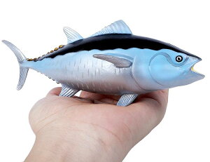  A ͋[ Cm  }O  grEI ő vX`bN q Ȋw  Mtg