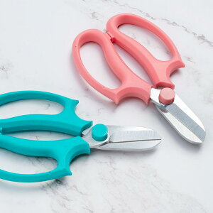 ΂ K[fjO |  nT~ }؂ t[AWg ԉ ƒp c[ H sN u[ p[v