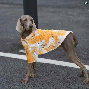 pĕ ^ K ʋC ybgAp ybgEFA  Ă~ S[fgo[ uh[ ʋC CG[ O[