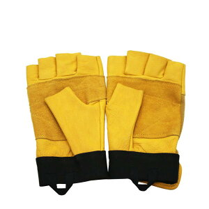  Y fB[X v AEghA Lv oR TCNO ^] K[fjO w wȂ Ɨp ϖՐ ϔM ~ Obv