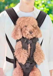  Ђ XO ԕR L[obO L ^ TCNO bh ubN sN