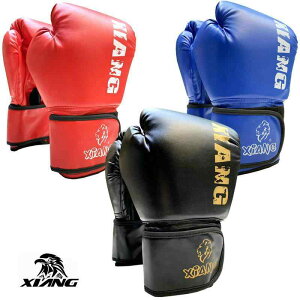 {NVOO[u iZ K g[jO Y fB[X i l NVbN   t[TCY