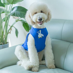  ^Ngbv m[X[u Ȃ hbOEFA 킢  ybg ^ t  uh[ S[fgo[ xXg