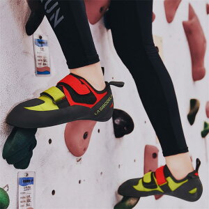 NC~OV[Y LbY {_O qp v Y fB[X l ㋉ b g[jO  O  bh u[