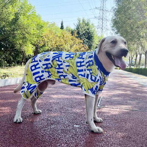  hbOEFA pW} H~ g  ^ 킢 S[fgo[ uh[ TGh l u[